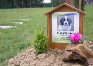 sepoltura-animali-domestici